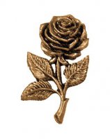 Róża B1756